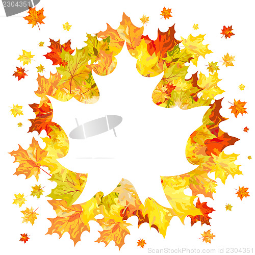 Image of Autumn maple leaves 