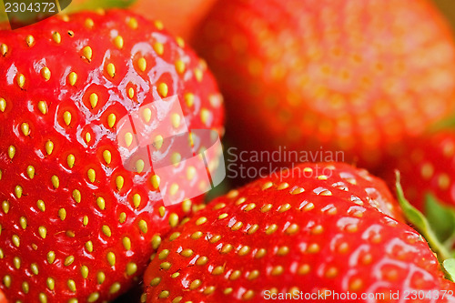 Image of Delicious Red Strawberries