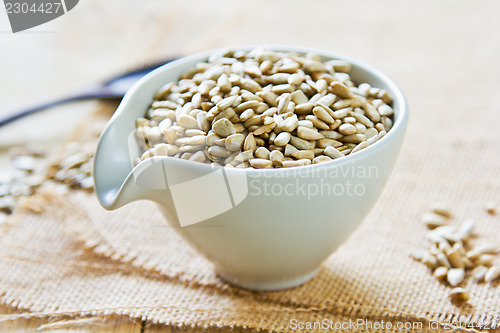 Image of Sunflower seed