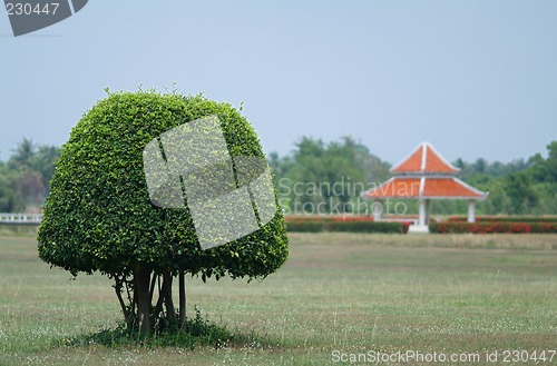 Image of Tree and Chinese style house