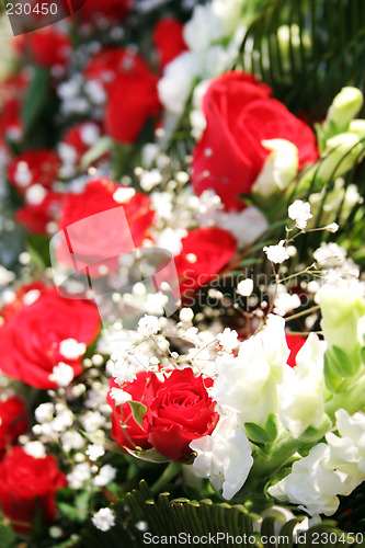 Image of Red roses