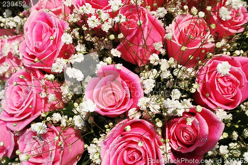 Image of Pink and pretty roses