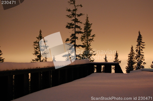 Image of Evening light