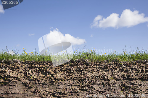 Image of Earth grass and sky