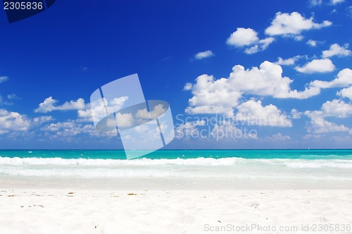 Image of tropical beach