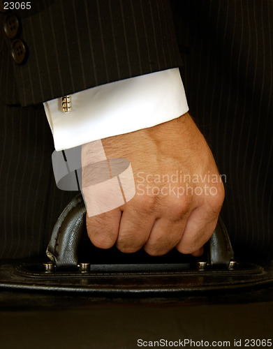 Image of Businessman Holding Case