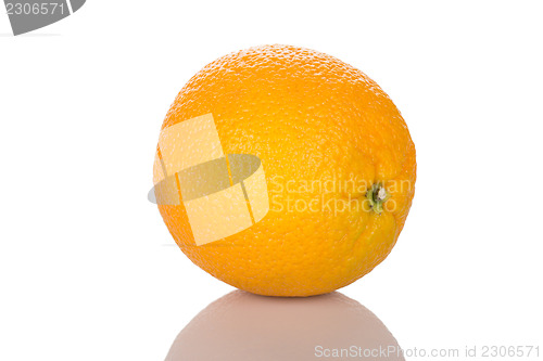 Image of Orange