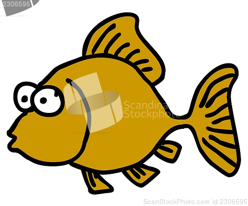 Image of funny fish