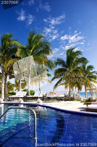 Image of tropical resort