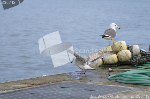 Image of Harbour abstract scene