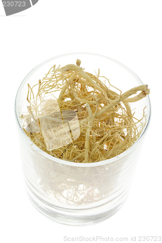 Image of Traditional Chinese Medicine - Ginseng roots (Panax ginseng)

