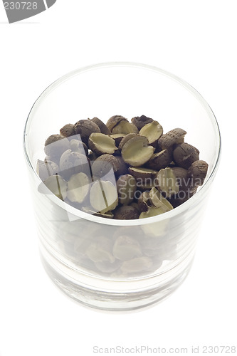 Image of Traditional Chinese Medicine - Lotus seeds

