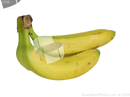 Image of bananas