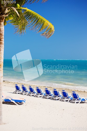 Image of tropical resort