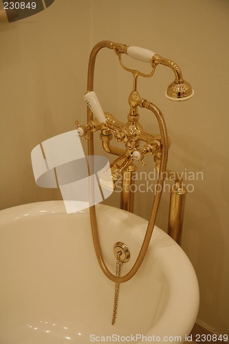 Image of Antique bathtube