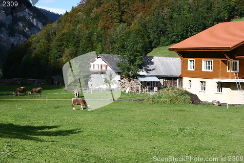 Image of Swiss Farm II