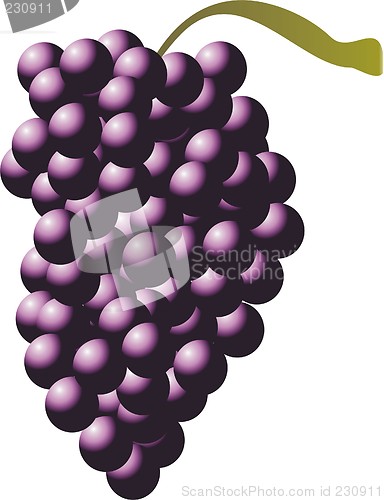 Image of grape