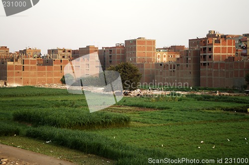 Image of slums in Monieb, Cairo