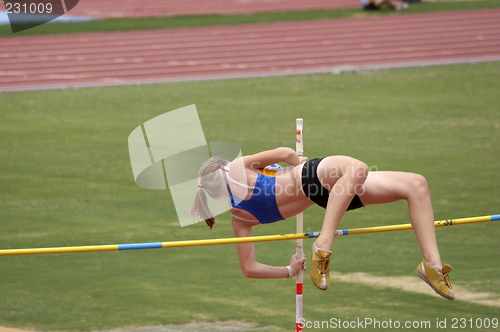 Image of Pole Vaulter