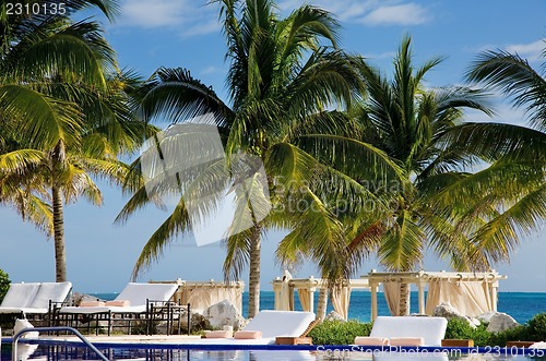 Image of tropical resort