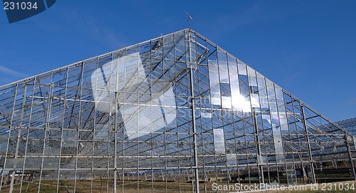 Image of Abandoned industrial greenhouse