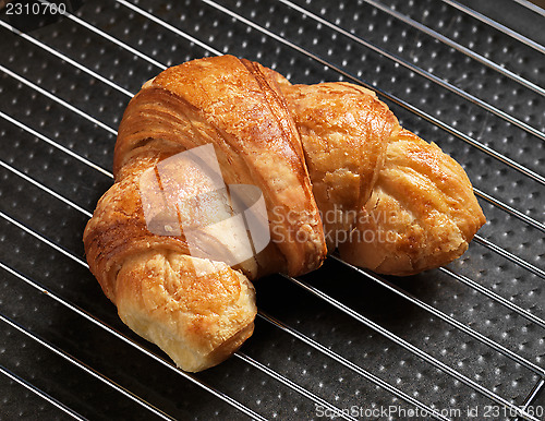 Image of freshly baked croissant