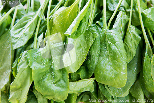 Image of Spinach