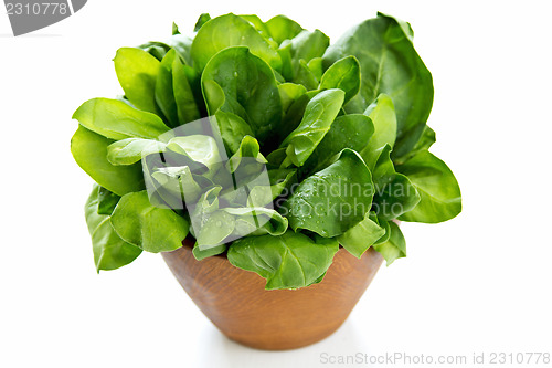 Image of Spinach