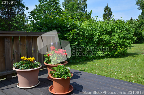 Image of Flowerpots in garden