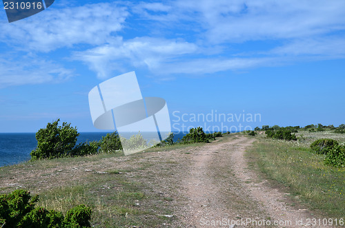 Image of Tracks along coast