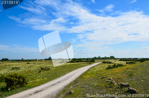 Image of Summer landscape