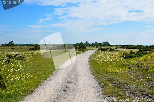 Image of Winding dirt  road