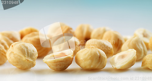 Image of Closeup view of hazelnuts over white background