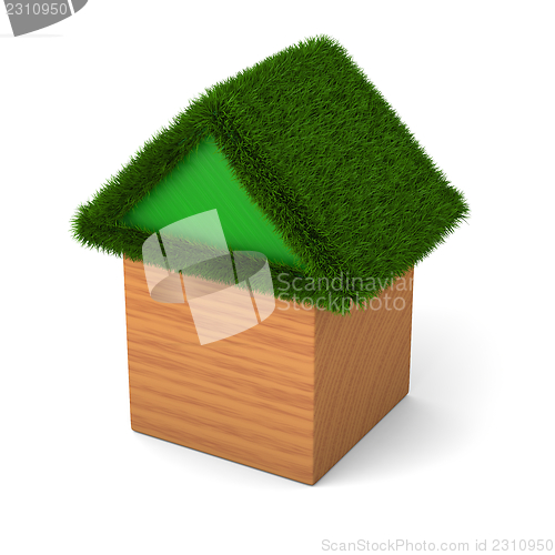 Image of House with green roof
