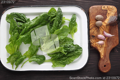 Image of Spinach