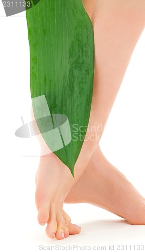 Image of female legs with green leaf