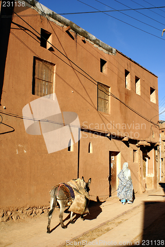Image of Woman with donkey on the street