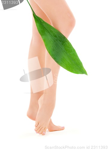 Image of female legs with green leaf