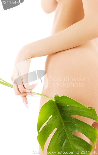 Image of female torso with green leaf over white