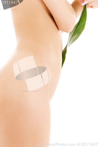 Image of female torso with green leaf over white