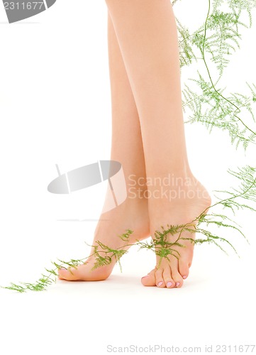 Image of female legs with green plant