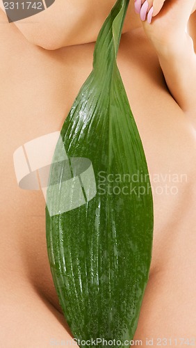 Image of female torso with green leaf