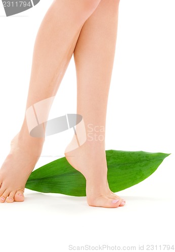 Image of female legs with green leaf