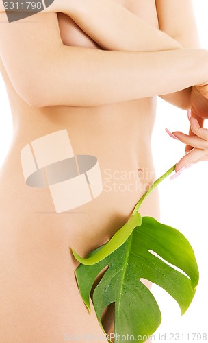 Image of female torso with green leaf over white