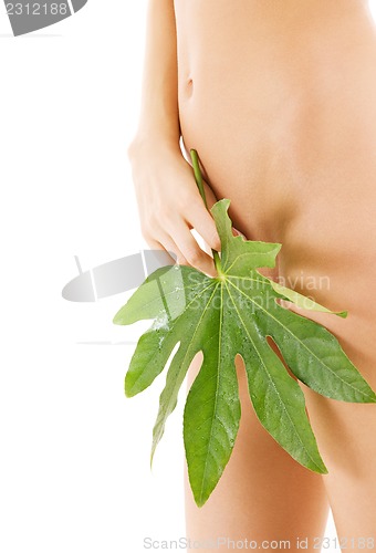 Image of female torso with green leaf over white