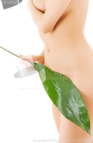 Image of female torso with green leaf over white