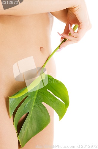 Image of female torso with green leaf over white