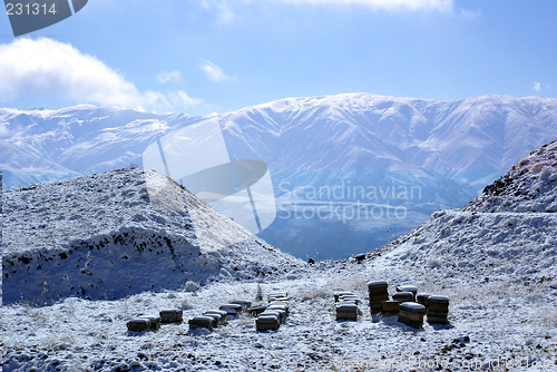 Image of Beehives on snow