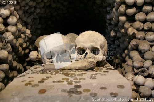 Image of Skulls in a memorial