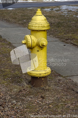 Image of Fire Hydrant